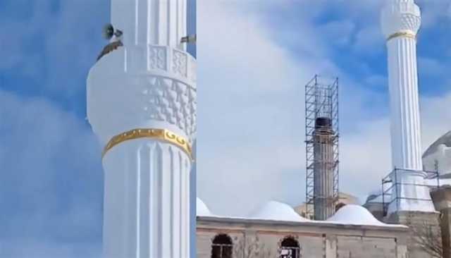 ثعلب يعطل نظام الأذان عن أحد المساجد في تركيا