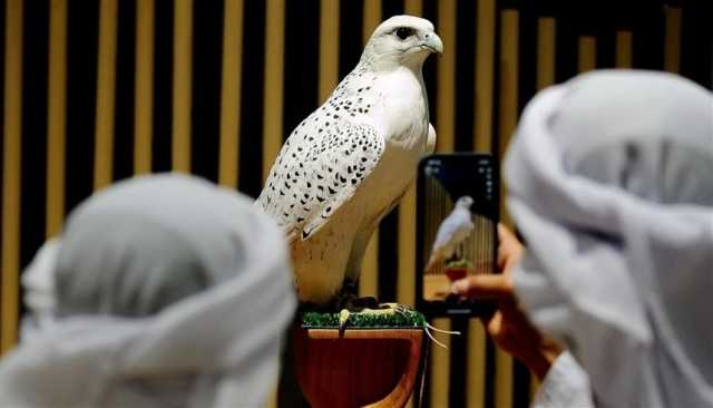 مشاركات خليجية ودولية مميزة في معرض أبوظبي الدولي للصيد والفروسية