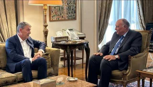 مصر تدعو للبناء على الهدنة بوقف كامل لإطلاق النار في غزة