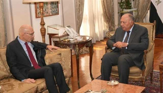 شكري يدعو إلى التحرك الجاد لوقف إطلاق النار في غزة