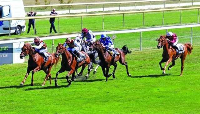 37 خيلاً تتنافس في 3 سباقات لمهرجان منصور بن زايد بفرنسا
