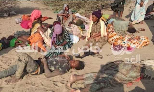 مجزرة بشرية بحق عدد من المهاجرين بلحج