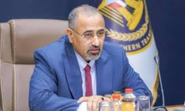 شاهد ..الانتقالي شركة أمنية زرعتها المخابرات الاماراتية