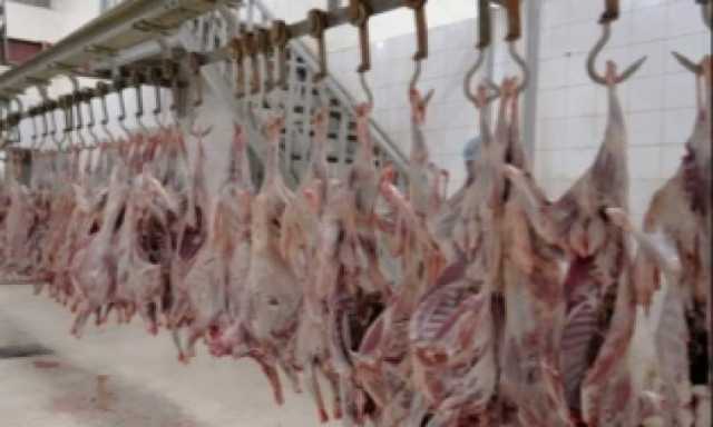 صنعاء: توزيع اضاحي لـ42 الف اسرة نازحة متضررة