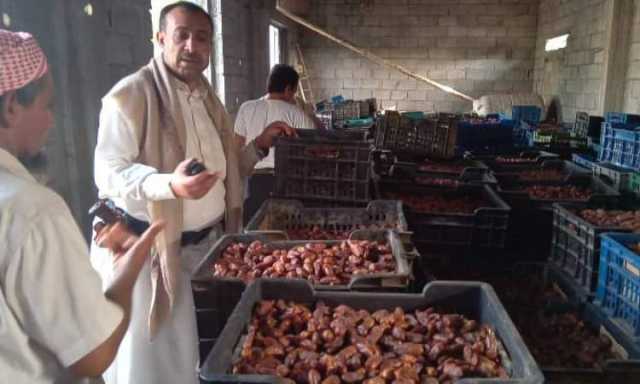 الحديدة .. تفقد سير مراحل توريد التمور المجففة إلى مصانع التغليف