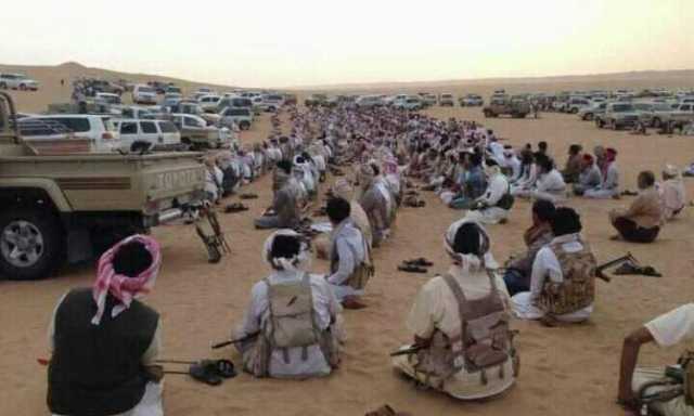 قبائل شبوة تصعّد ضد العدوان وحكومة المرتزقة