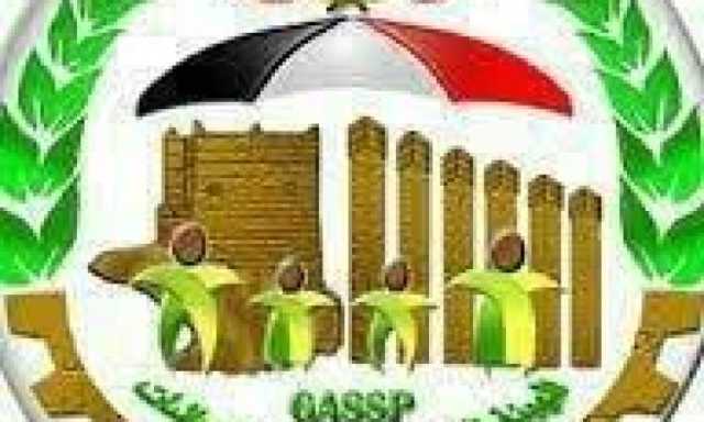 هيئة التأمينات تبدأ صرف نصف معاش