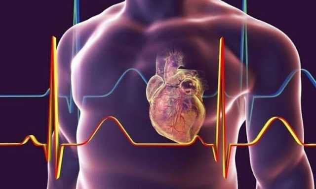 الدكتور العبسي يوضح الأسباب والوقاية من الجلطات