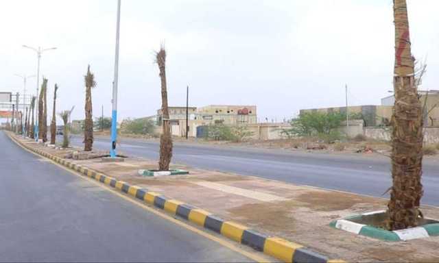 تدشين غرس 10 الاف نخلة في شوارع الحديدة