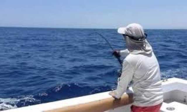 اغلاق موسم اصطياد الحبار في منطقة البحر الأحمر