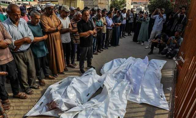 ارتفاع حصيلة ضحايا الإبادة في غزة إلى 56 الفا و500 شهيدا