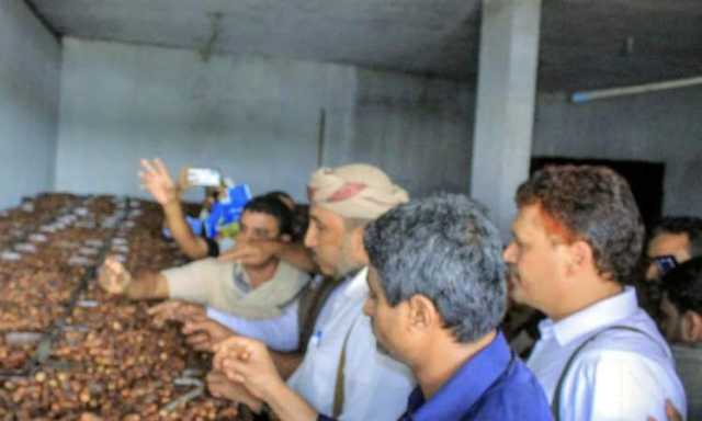 الحديدة : بدء تخفيض فاتورة الاستيراد بقطاع التمور