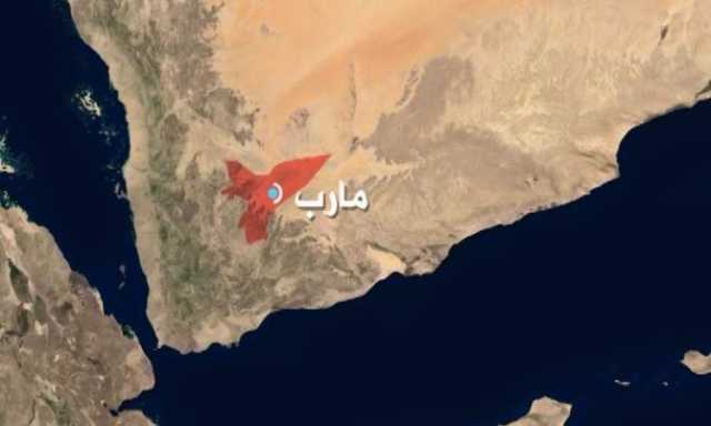 استنكار واسع لجريمة مرتزقة العدوان قتل سائق قاطرة في مارب