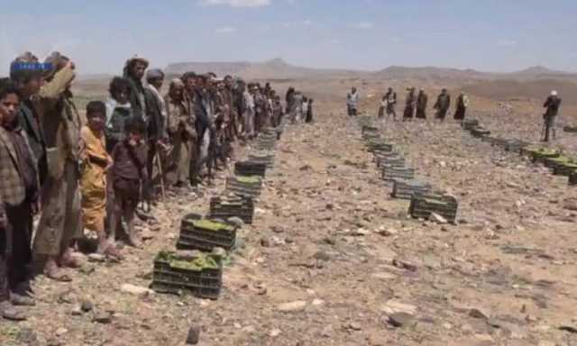 بني حشيش تسير قافلة أعناب دعماً للمرابطين في الجبهات