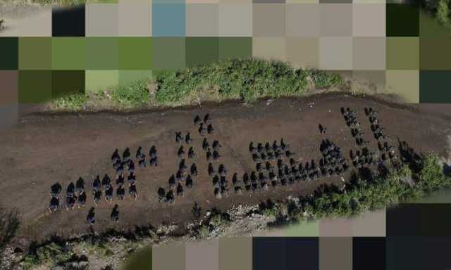 الداخلية تحتفل بتخرج دورة لمنتسبي النجدة والمنشآت والامن المركزي