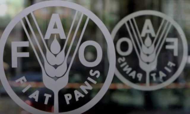 انخفاض اسعار السكر 5%