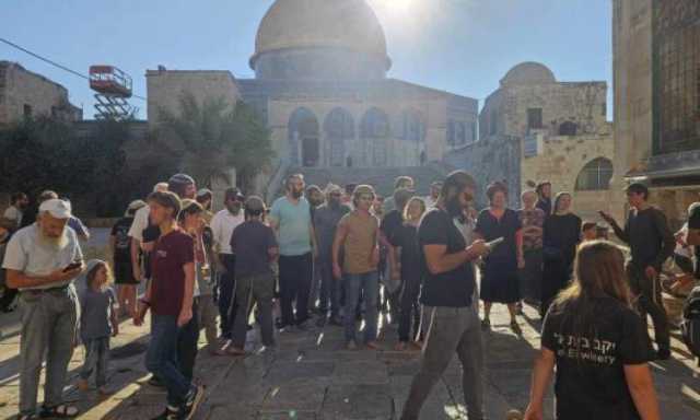 100 مغتصب صهيوني يقتحمون الأقصى بحماية العدو