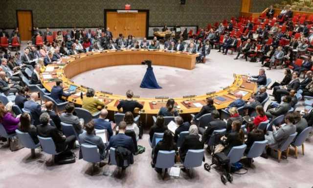 قرار مجلس الأمن حول غزة.. هزيمة عسكرية لـإسرائيل ودبلوماسية للعرب