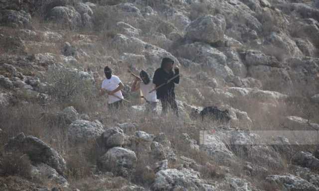 تصعيد الاحتلال في الضفة.. حظر للتجوال وتسميم اغنام واحراق مزارع