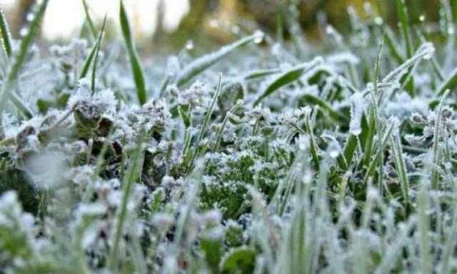 تضارب الانباء حول موجة صقيع تضرب اليمن من الليلة