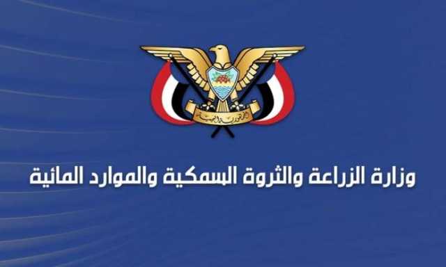 البحر الأحمر يشهد انطلاق موسم صيد الجمبري وفق توصيات علمية