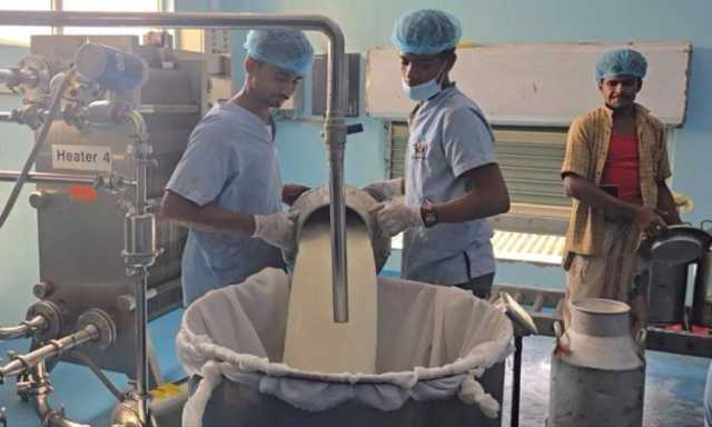 مديرية باجل.. نموذج تنموي واعد لتعزيز الاكتفاء الذاتي في الإنتاج المحلي