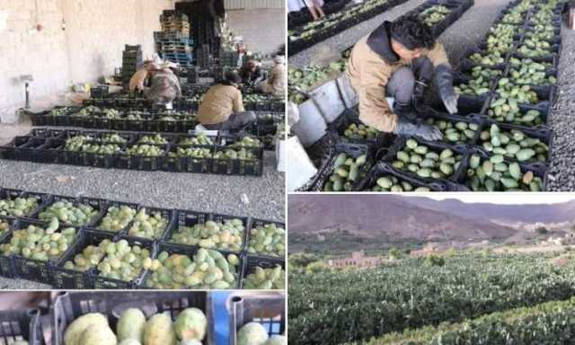 مبادرة مثيرة في غيمان بني بهلول .. توفر فرص عمل للألاف