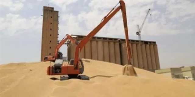 العراق يكشف مخزونه من الحنطة ومدة نفاده