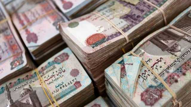 شروط استحقاق المعاش المبكر.. التفاصيل الكاملة وفق نص القانون