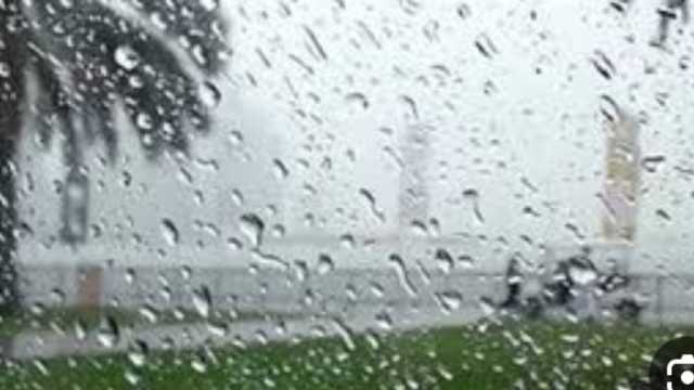 «الأرصاد» تحذّر من طقس اليوم الخميس.. شبورة وأمطار ورياح نشطة