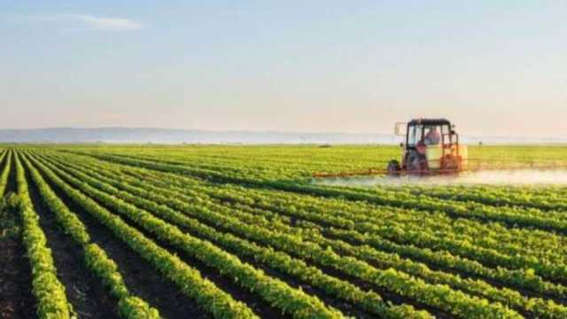 بالأرقام.. 10 سنوات من الإنجازات في التنمية الاقتصادية بجميع المحافظات