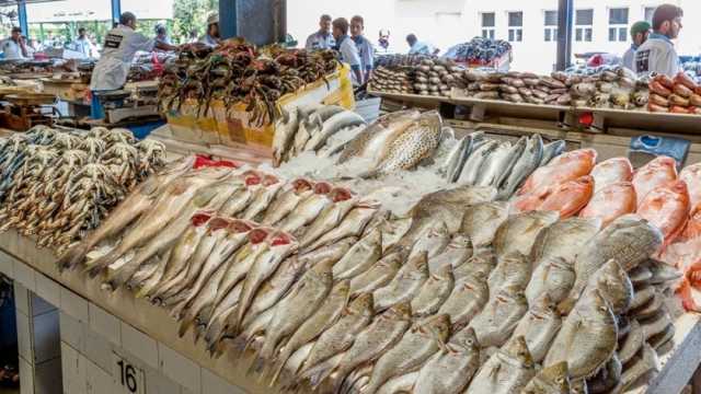 أسعار الأسماك اليوم الثلاثاء 10-10-2023 في الأسواق.. «البلطي» بـ66 جنيها
