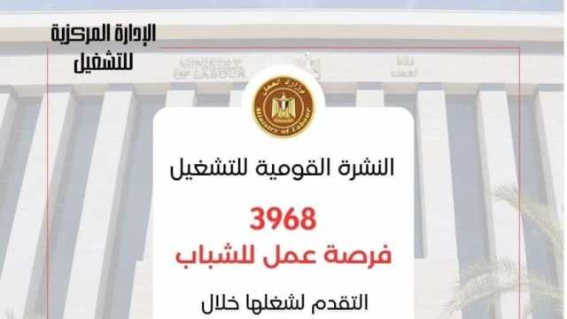 وظائف خالية للشباب في المحافظات برواتب تصل إلى 13 ألف جنيه