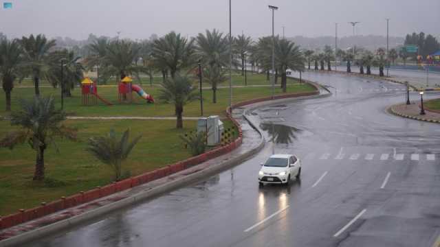 حالة الطقس في السعودية.. تفاوت كبير بدرجات الحرارة واستمرار تساقط الأمطار