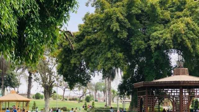 استعدادات القليوبية لاستقبال العيد.. غرف عمليات وحملات نظافة وتجهيز الحدائق