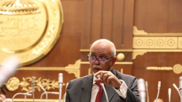 عضو بـ«الشيوخ»: مصر حققت خطوات واسعة في مجال الإصلاح الاقتصادي