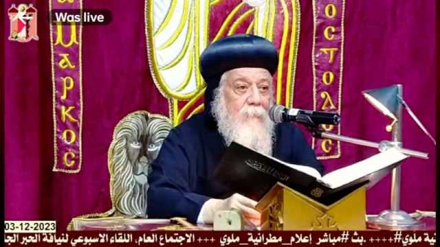مطران ملوي يحث الأقباط على المشاركة في الانتخابات الرئاسية: واجب وطني