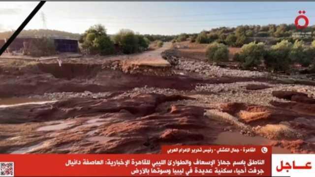 جمال الكشكي: دعم مصر للمغرب وليبيا واجب وطني