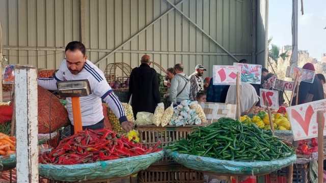 طبق الخير بـ25 جنيها.. مبادرة من «زراعة الدقهلية» للتخفيف عن المواطنين في رمضان