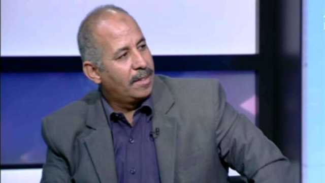 «المواد الغذائية»: دعم المنتجات المصرية يزيد المبيعات.. والأسعار مستقرة