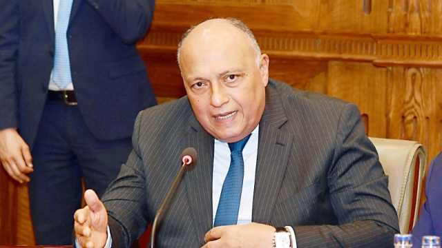 وزير الخارجية يبحث هاتفيا مع نظيره الإيطالي أوضاع الهجرة غير الشرعية