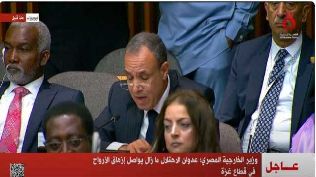 وزير الخارجية: مصر تؤكد خطورة تأثير ظاهرة التغير المناخي على ندرة الموارد المائية