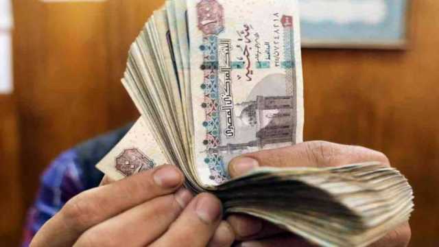 متى يحق للفتاة أن ترث معاش أخيها حال وفاته؟.. التضامن تجيب