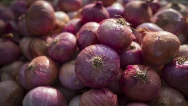 أسعار البصل والخضروات اليوم الجمعة 15-12-2023 في الأسواق