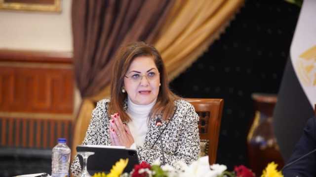 «التخطيط» عن حول مشروع التصويت الإلكتروني: خطوات نحو مصر رقمية