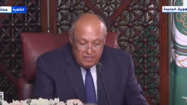 العلاقات المصرية الفرنسية تاريخية وممتدة.. وتسير نحو آفاق أرحب