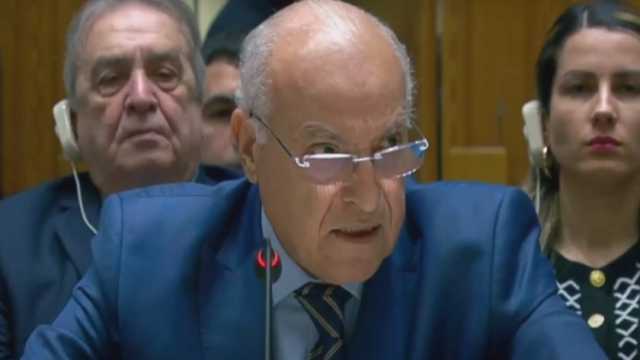 مندوب الجزائر بمجلس الأمن: هناك مخطط إسرائيلي للقضاء على الدولة الفلسطينية