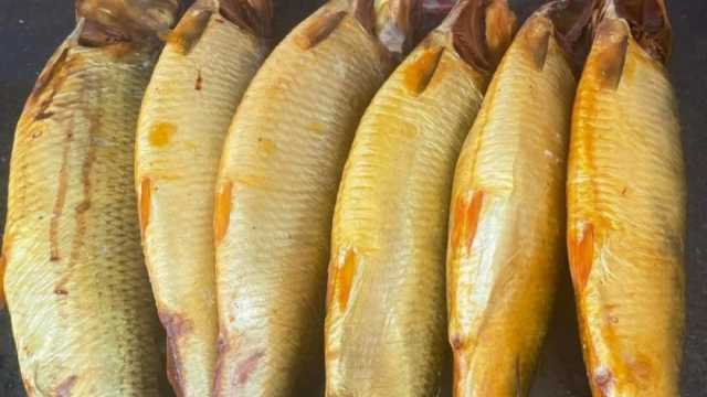 سعر كيلو الرنجة والفسيخ اليوم الجمعة 12-4-2024 ثالث أيام العيد