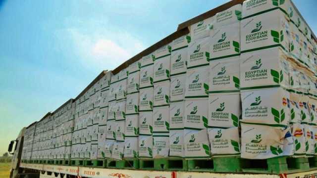 «الفاو» وبنك الطعام المصري يجددان برتوكول تعاون لتوسيع مجالات دعم الزراعة