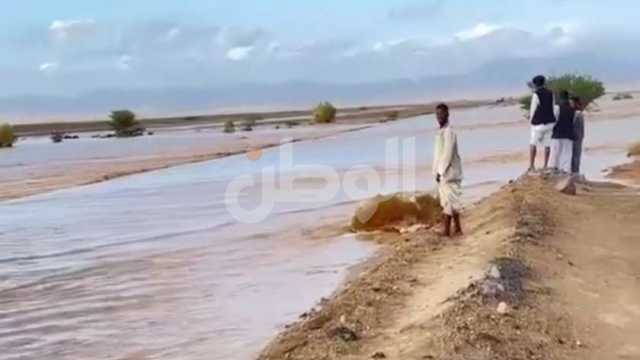 الأرصاد تعلن موعد توقف الأمطار على أقصى جنوب البلاد.. غزيرة يصاحبها رعد وبرق